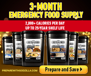 06-30-22-09-21-50_Conversion_3-Month-300X250.png