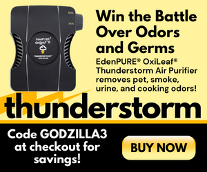 EdenPURE-Thunderstorm-Banner-GODZILLA3-300x250-1.png